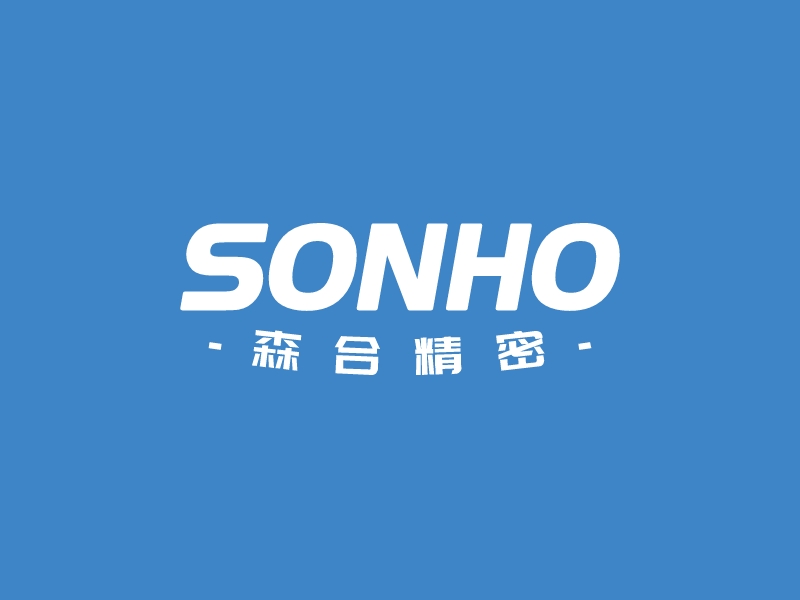 SONHOLOGO設(shè)計