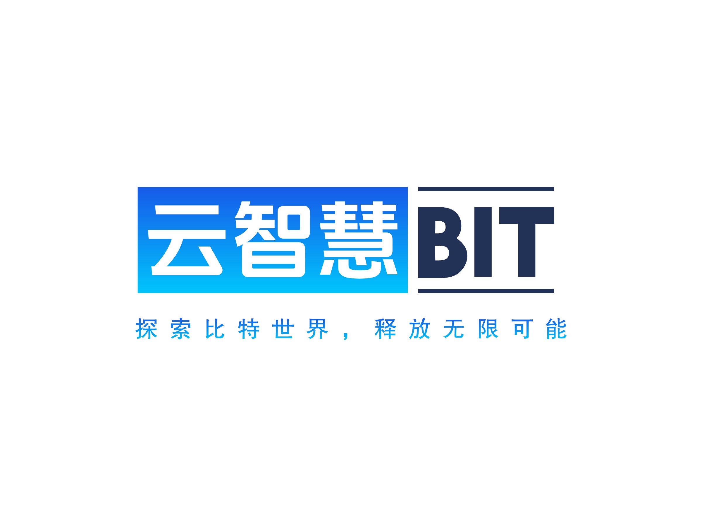 云智慧 BITLOGO設(shè)計